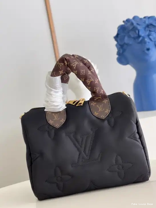 Fake Louis Bags BANDOULIÈRE SPEEDY 25 LOUIS VUITTON 0613